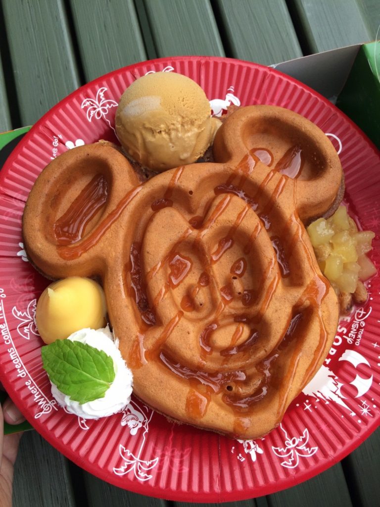 Tokyo Disneyland Tokyo Disneysea 1 Day Tour Japan Land Service