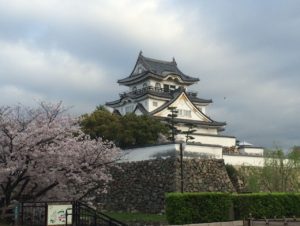 大阪郊外で桜を楽しむ！　Vol.2～大阪編～