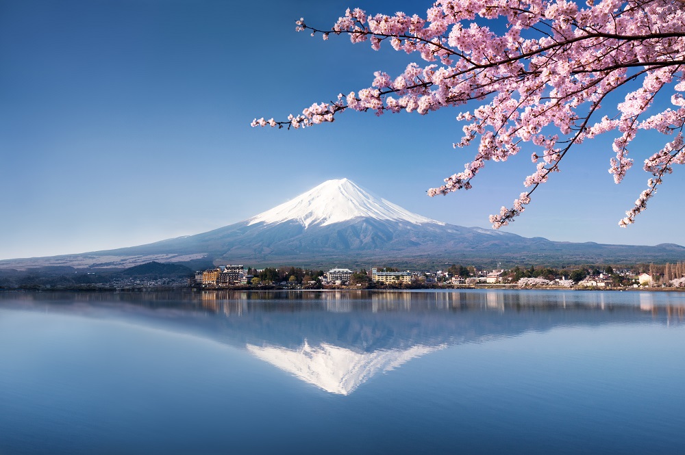Let's have the ultimate cherry blossom experience! - Fuji and Hakone - Japan Land Service
