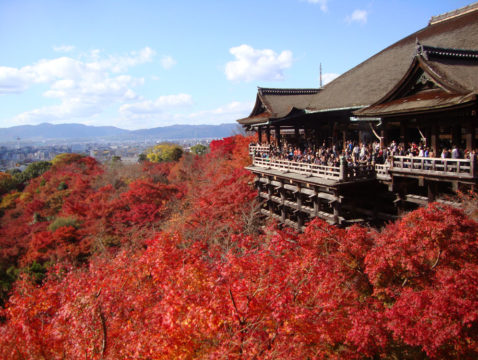 完整指南 机场接送服务的特征 优点和使用方法 Japan Land Service