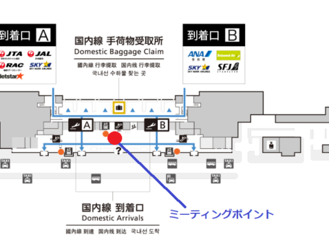 完整指南 机场接送服务的特征 优点和使用方法 Japan Land Service