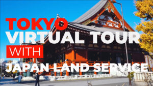 Tokyo Virtual Private Tour Vol.1